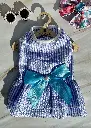 Dress-BLUE.webp