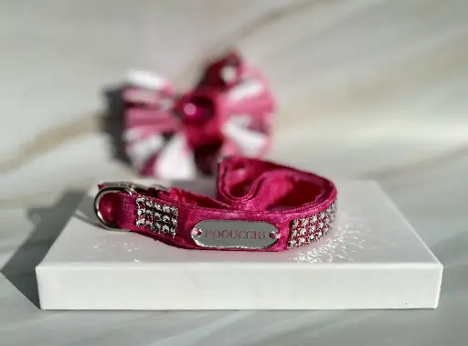 Hot Pink Collar